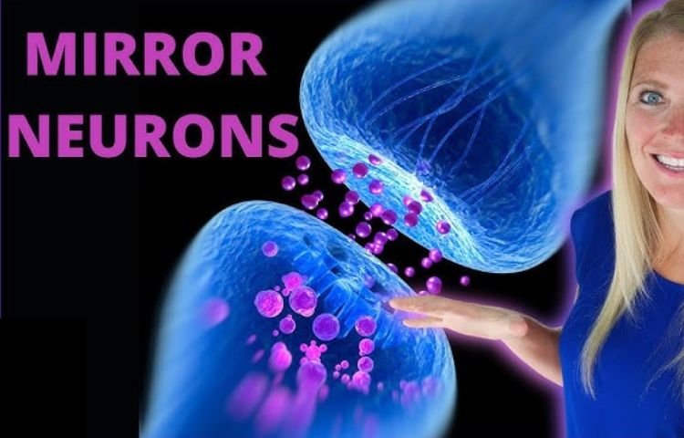 Are Mirror Neurons Real